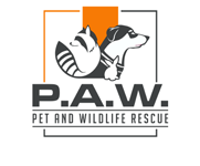 PAW Rescue