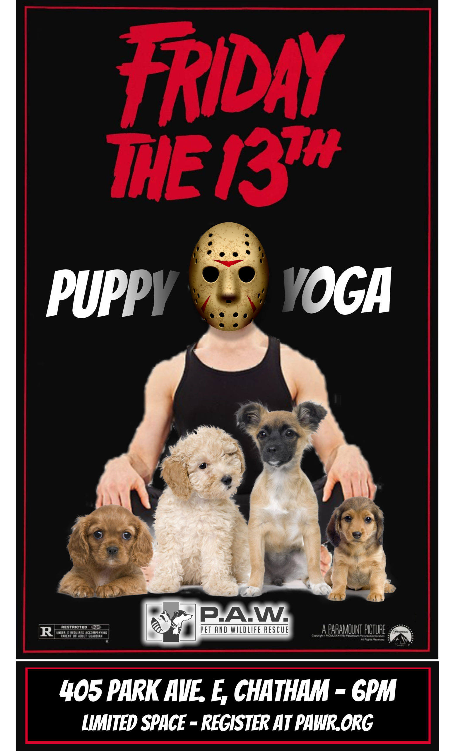 Puppy Yoga on Friday the 13th