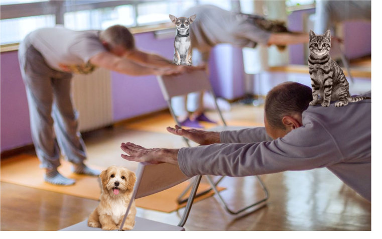 Chair yoga at the shelter – March 25th