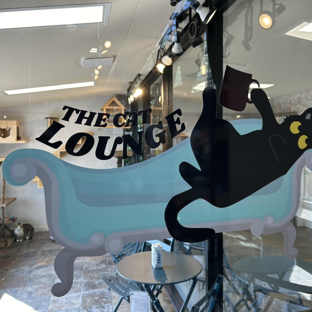 The Cat Lounge is OPEN TOMORROW at the Glasshouse Nursery in Chatham, ON!! Come Out and Visit!! 56 Creek Rd, Chatham, ON