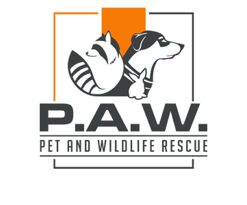 PAW Rescue