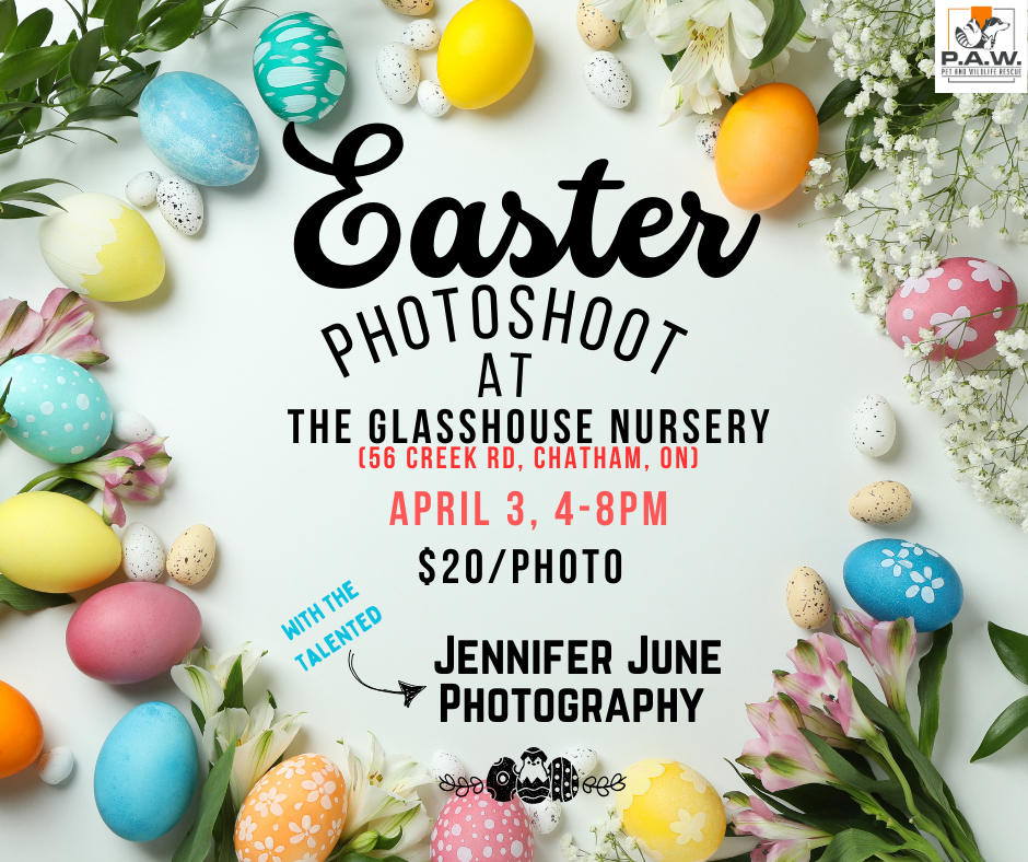 Join Us For A Hoppy Easter Photoshoot on April 3 from 4-8PM at The Glasshouse Nursery!