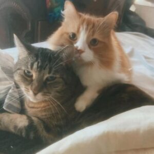 Mazi and Red (bonded pair)