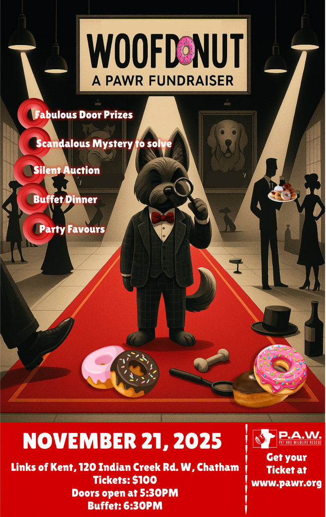 Woof Dun It? Murder Mystery Dinner Nov. 21