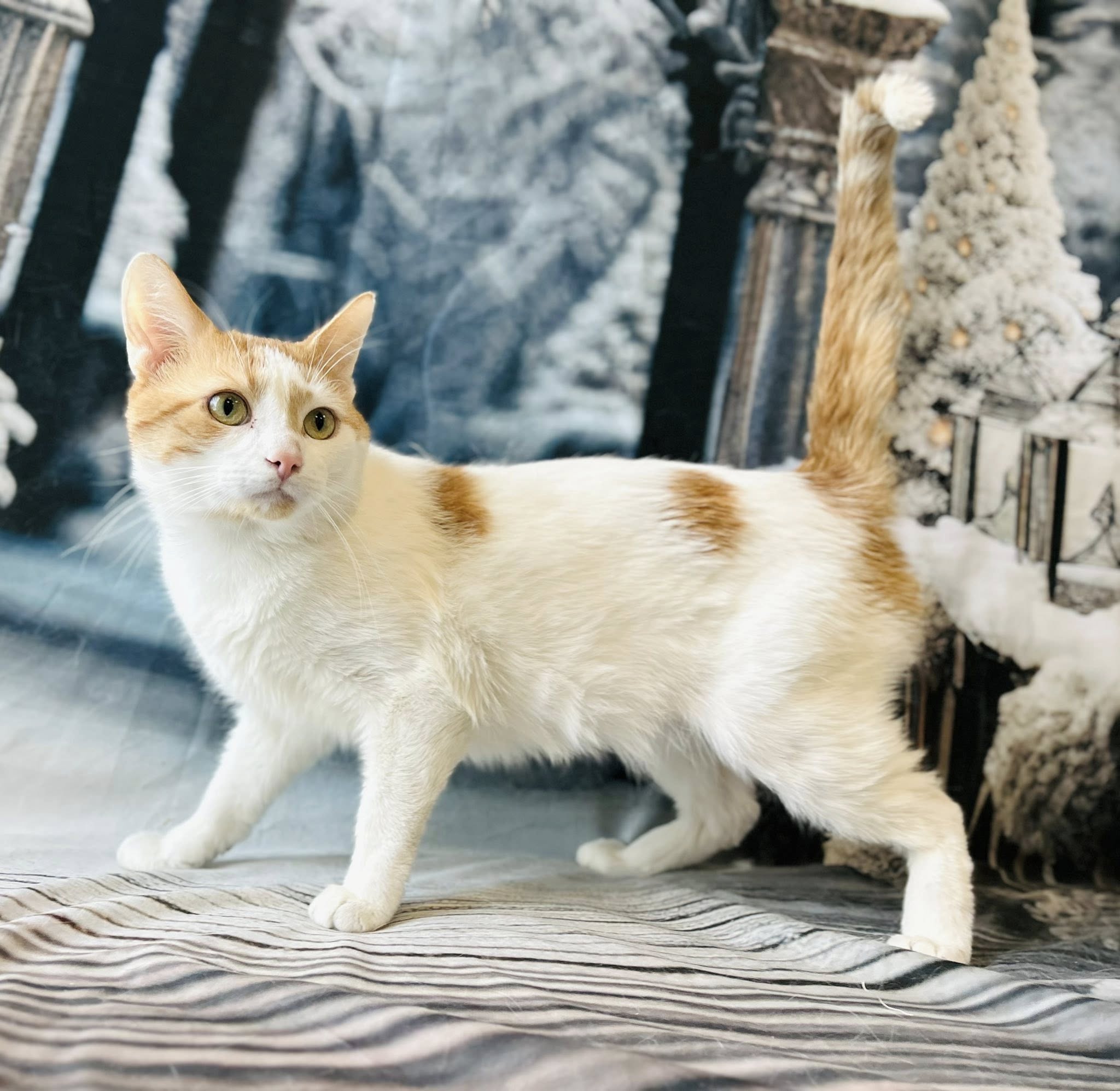 594961440_2073738096719196_2452933811472608947_n