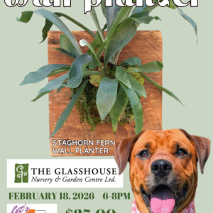 Valentine's Day with Eva! Build a Wall Planter - Feb 18th