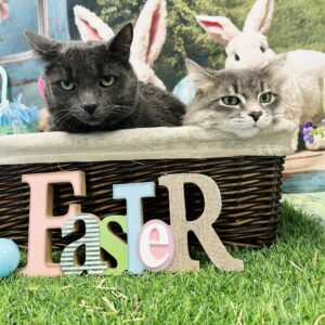 Augustus Gloop and Verruca Salt (Bonded Pair)