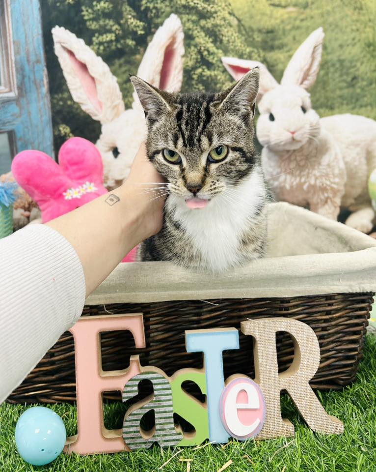 662278465_2166754620750876_7175131198315903875_n