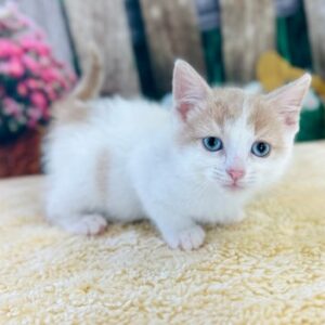 Bundle
