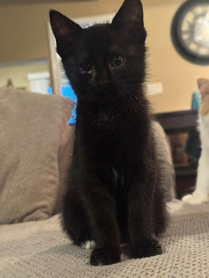 bitey