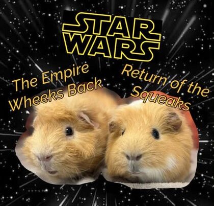 guineas